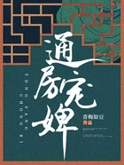 通房宠婢 通房宠婢